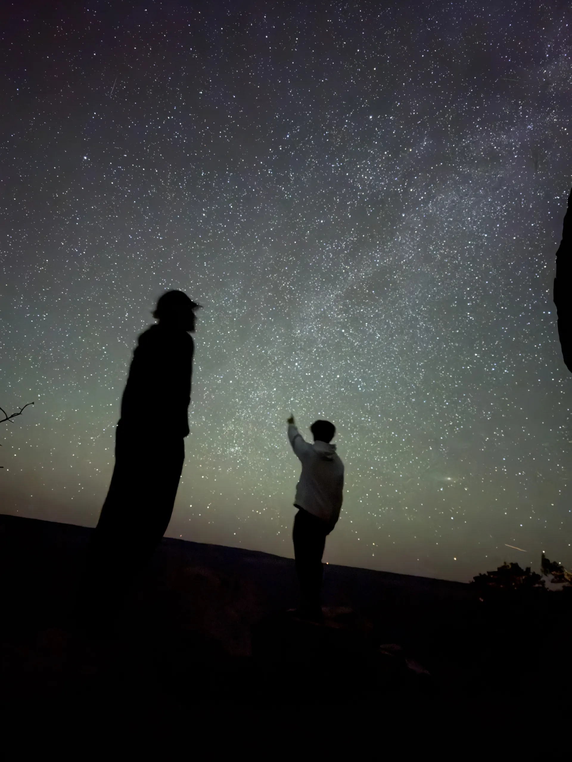 How Small We Are